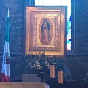 Meet your Posher, Sofia